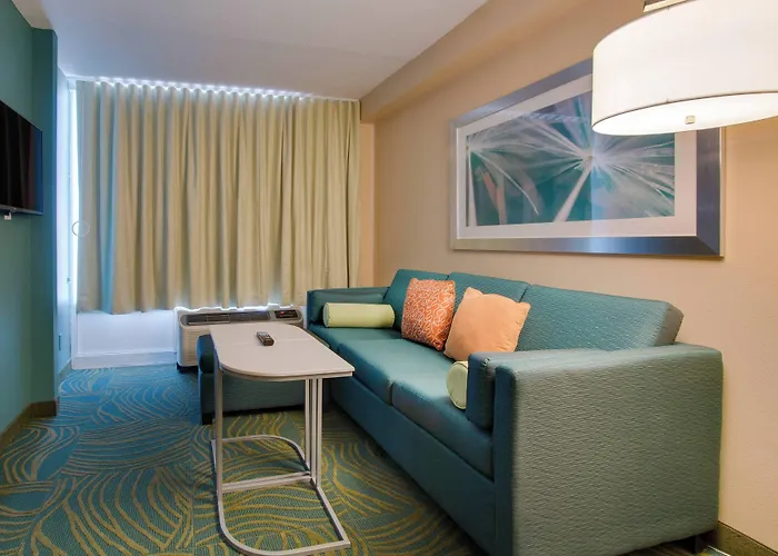 Springhill Suites By Marriott Orlando Lake Buena Vista South